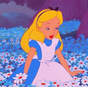 Meet your Posher, Evania